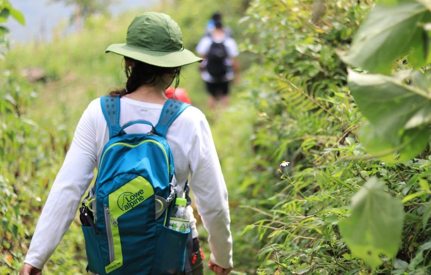 Tour Hà Giang 3N4Đ:  “Hiking Nho Quế & Vách đá trắng”